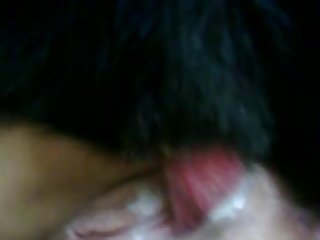 Animal Hentai Porn Comics