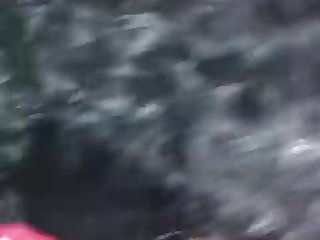 Animal Crossinng Porn