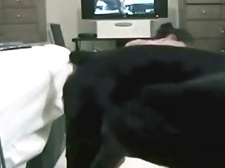 Alison Prod Animal Porn