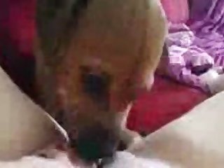 Animal Crossing Ankha Villager Porn