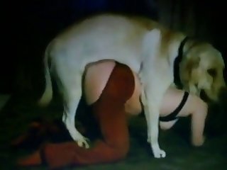 Animal Reproduction Porn