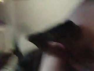 Huge Cock Animal Porn