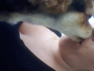 Animal Porn Storys