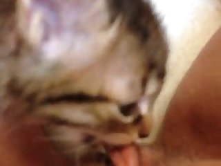 Fapzoo Animal Porn