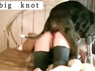 Ankaha Animal Crossing Porn