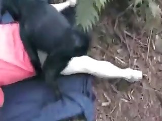 Fucking A Stuffed Animal Porn
