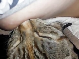 Porn Animal To Animal