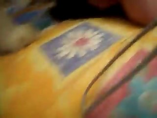 Ankha Animal Crossing Dance Porn