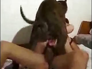 Cum Animal Porn