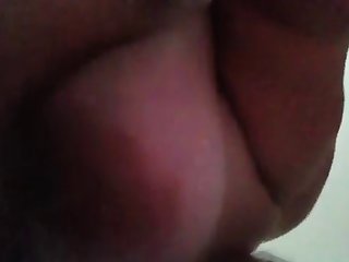 Porn Animal Corssing
