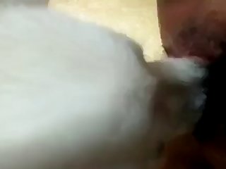 Animal Porn Movies Tumblr