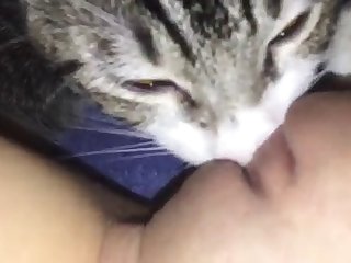 Animal Crazy Porn